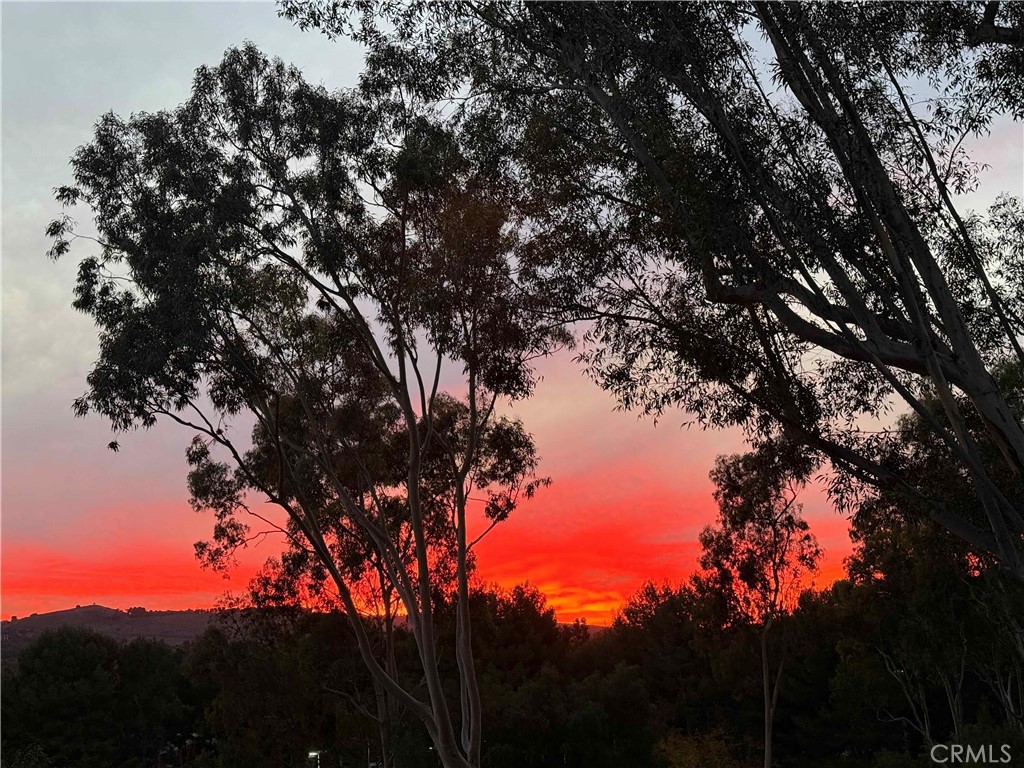 40 Morning View