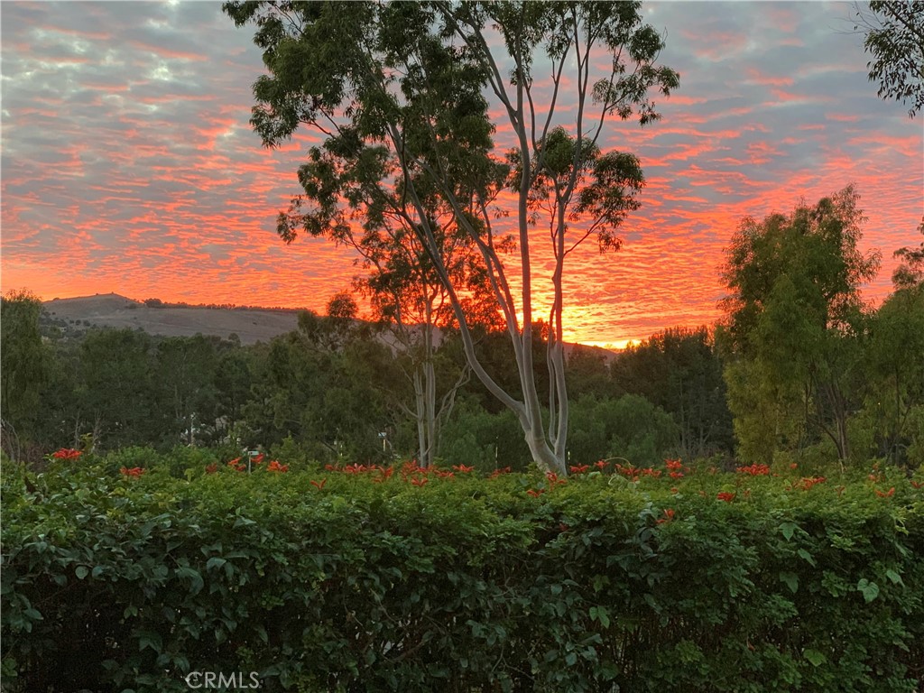 40 Morning View