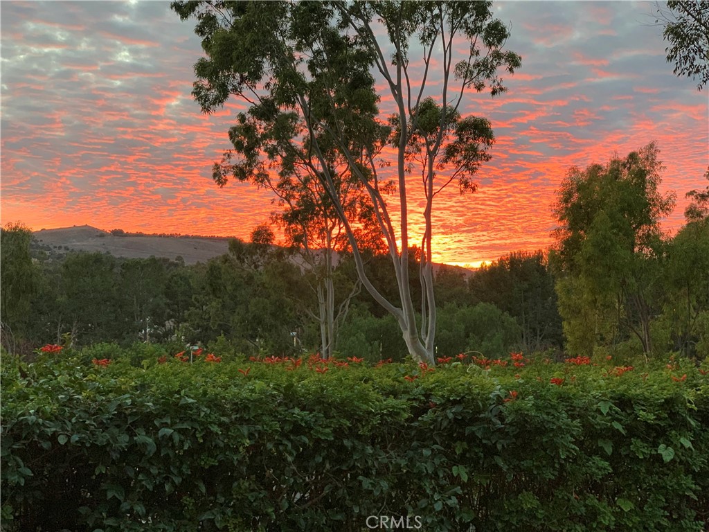 40 Morning View