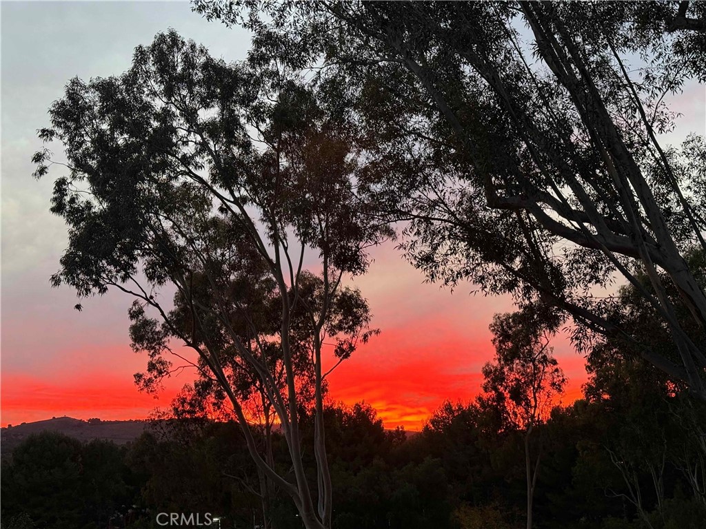 40 Morning View
