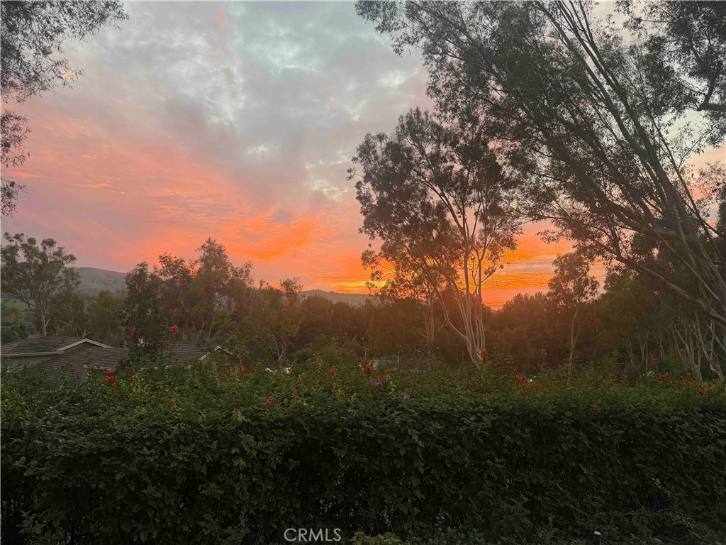 40 Morning View