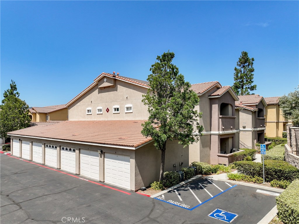 41410 Juniper