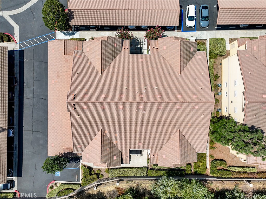 41410 Juniper