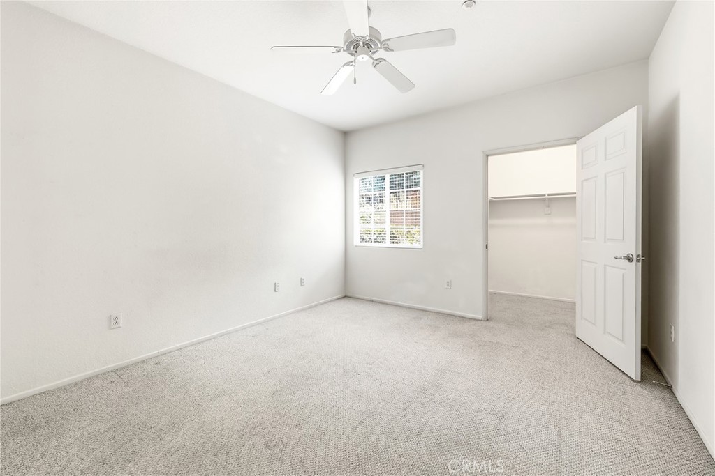 41410 Juniper