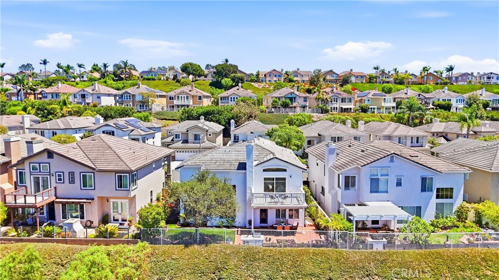 37 Rockrose