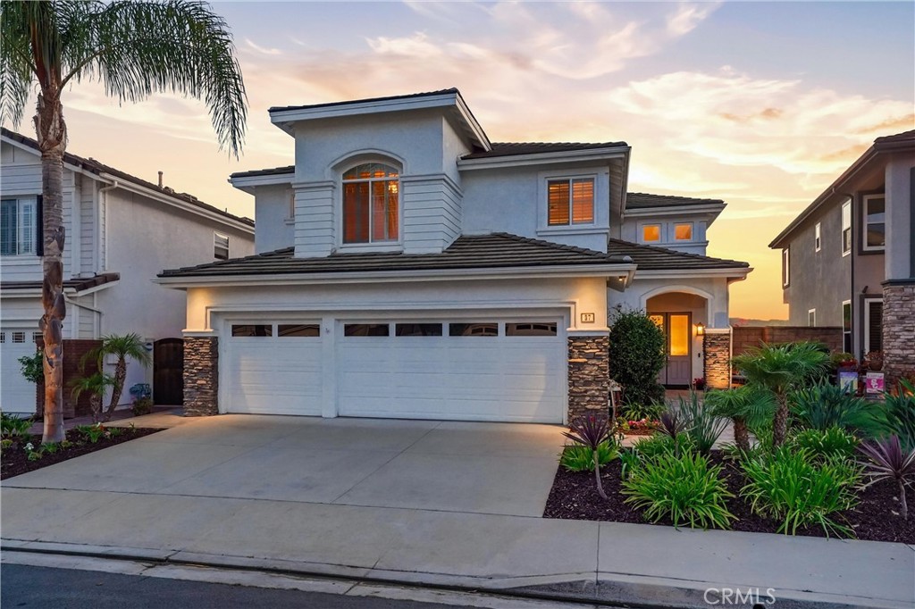37 Rockrose