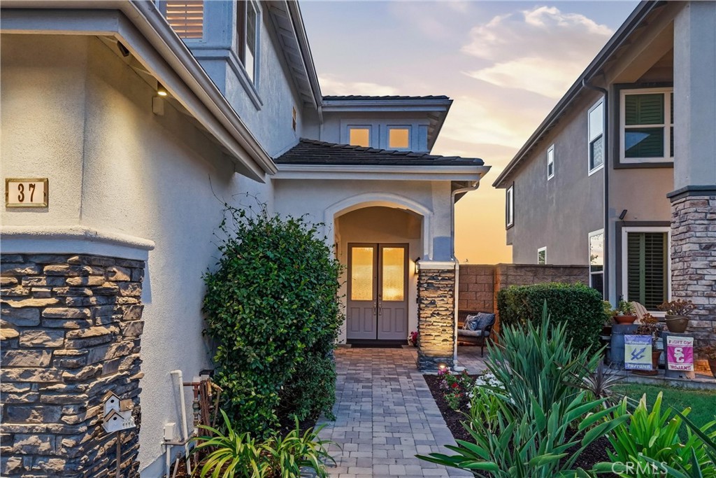 37 Rockrose