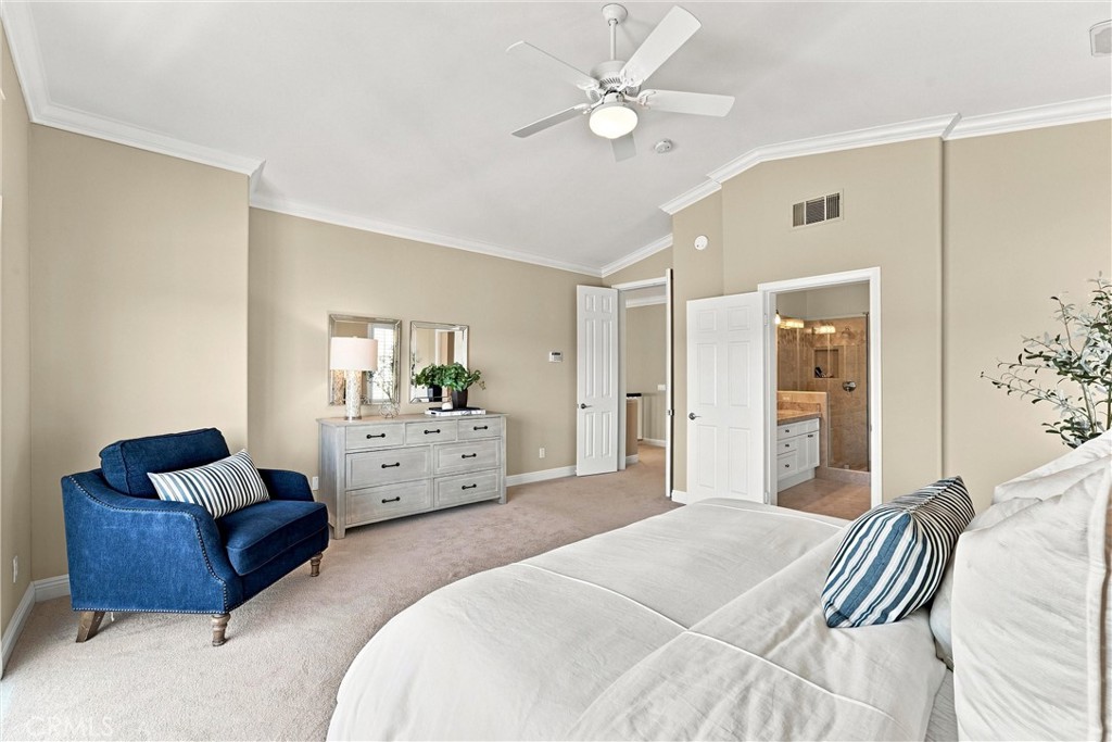 37 Rockrose