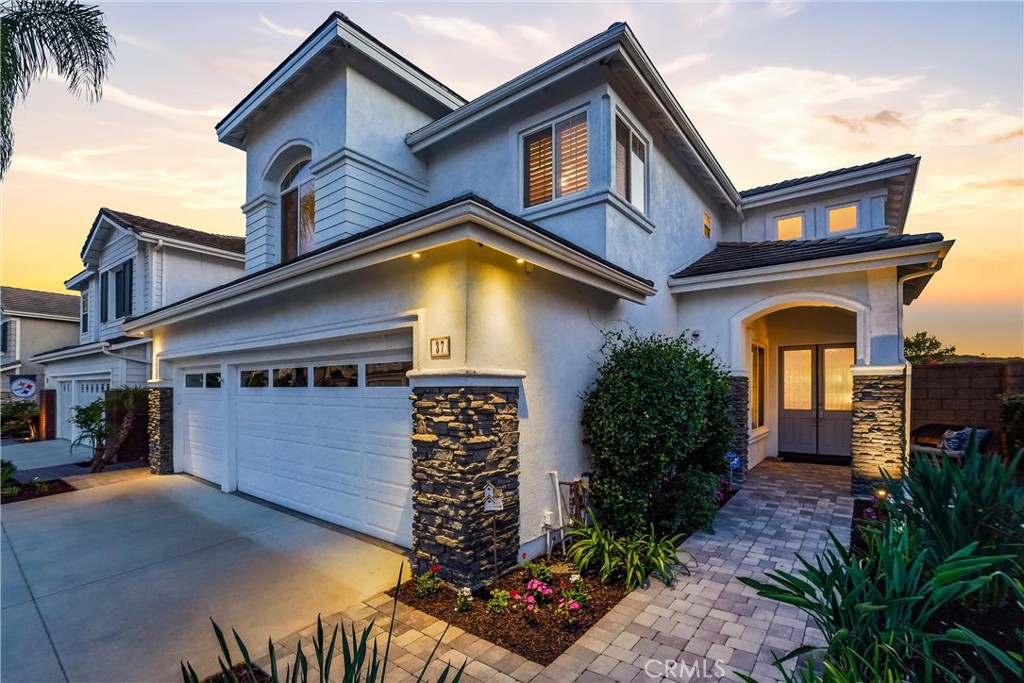 37 Rockrose