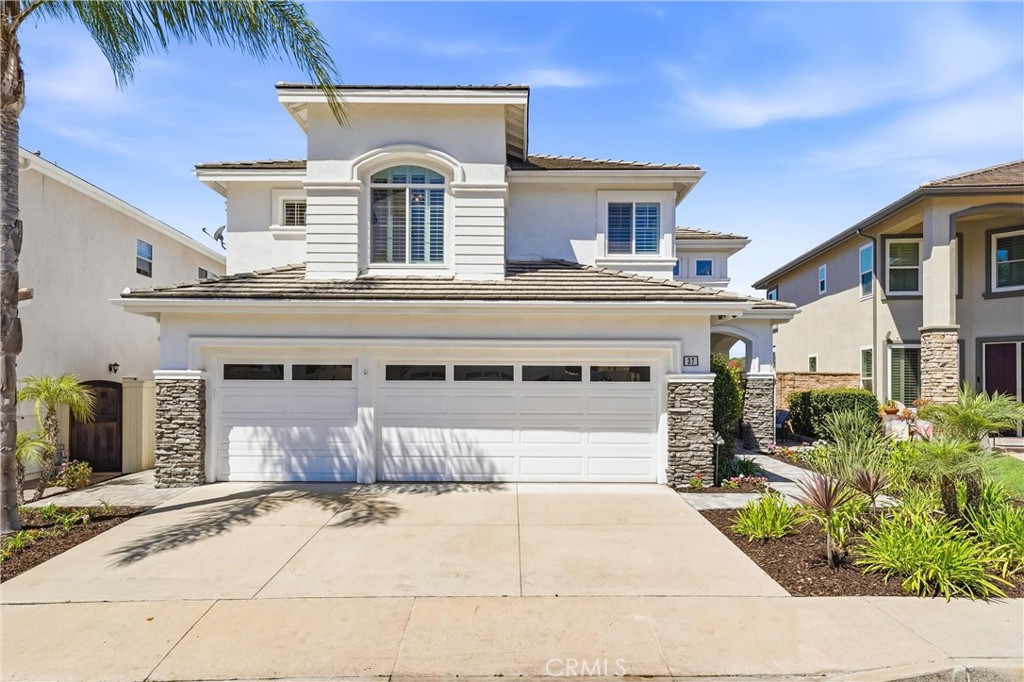 37 Rockrose