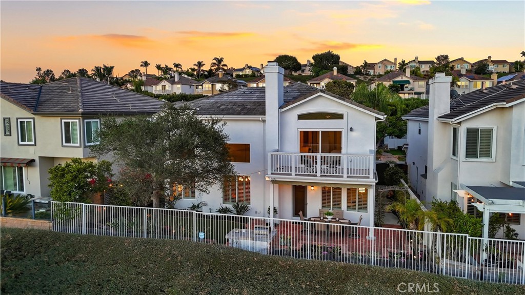 37 Rockrose