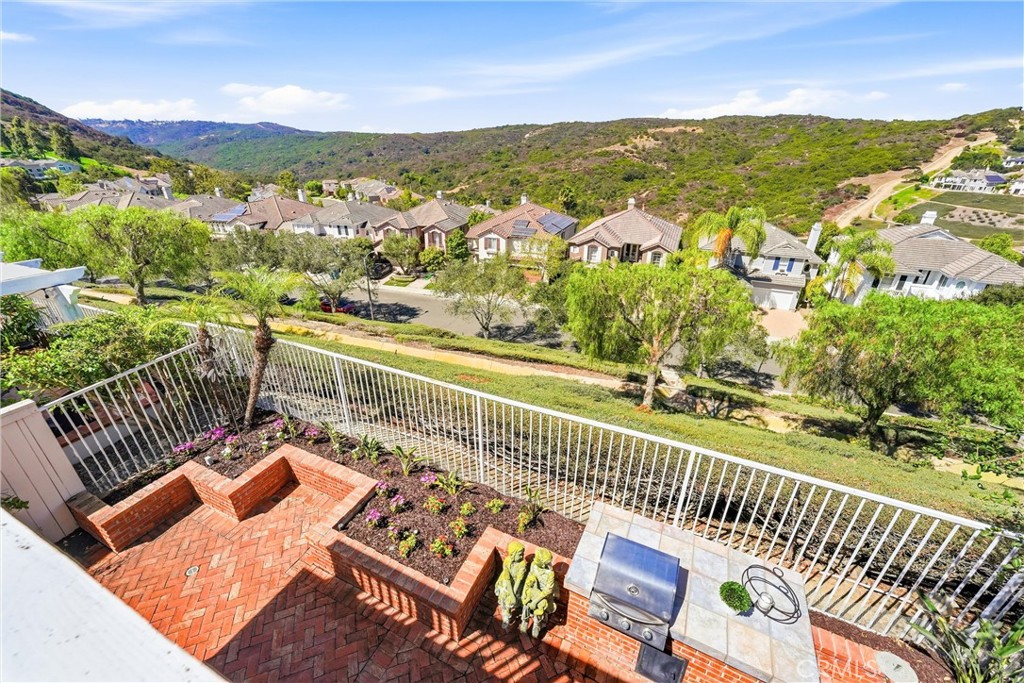 37 Rockrose