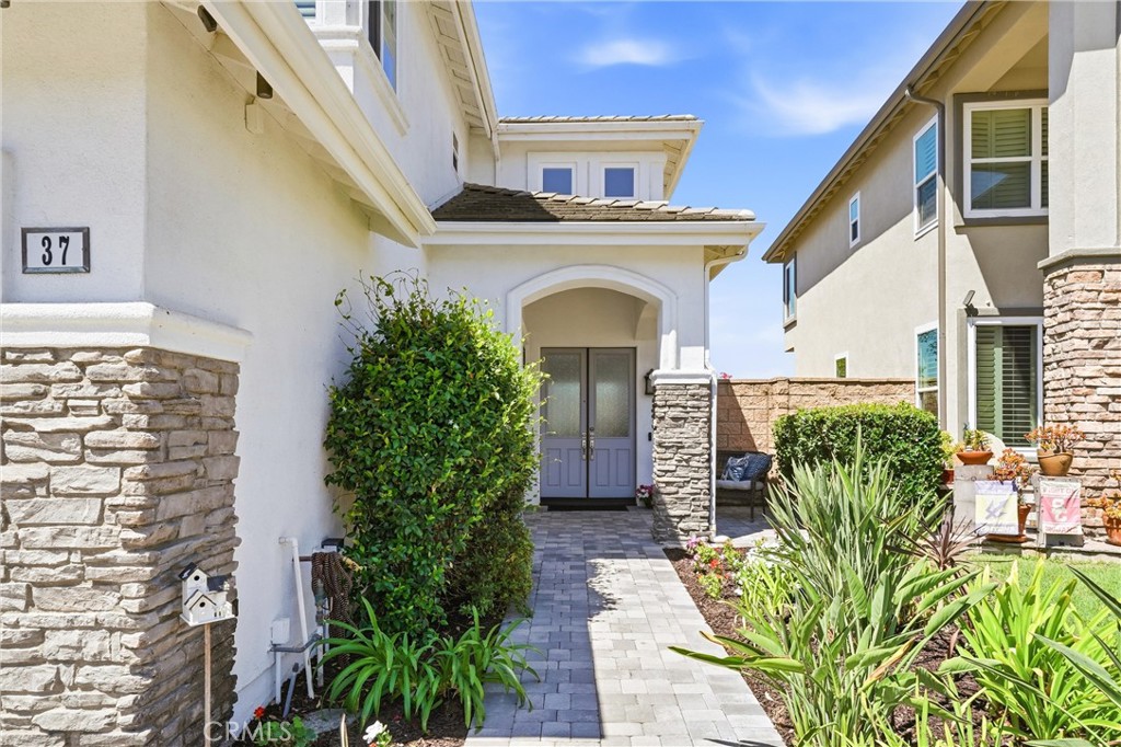 37 Rockrose