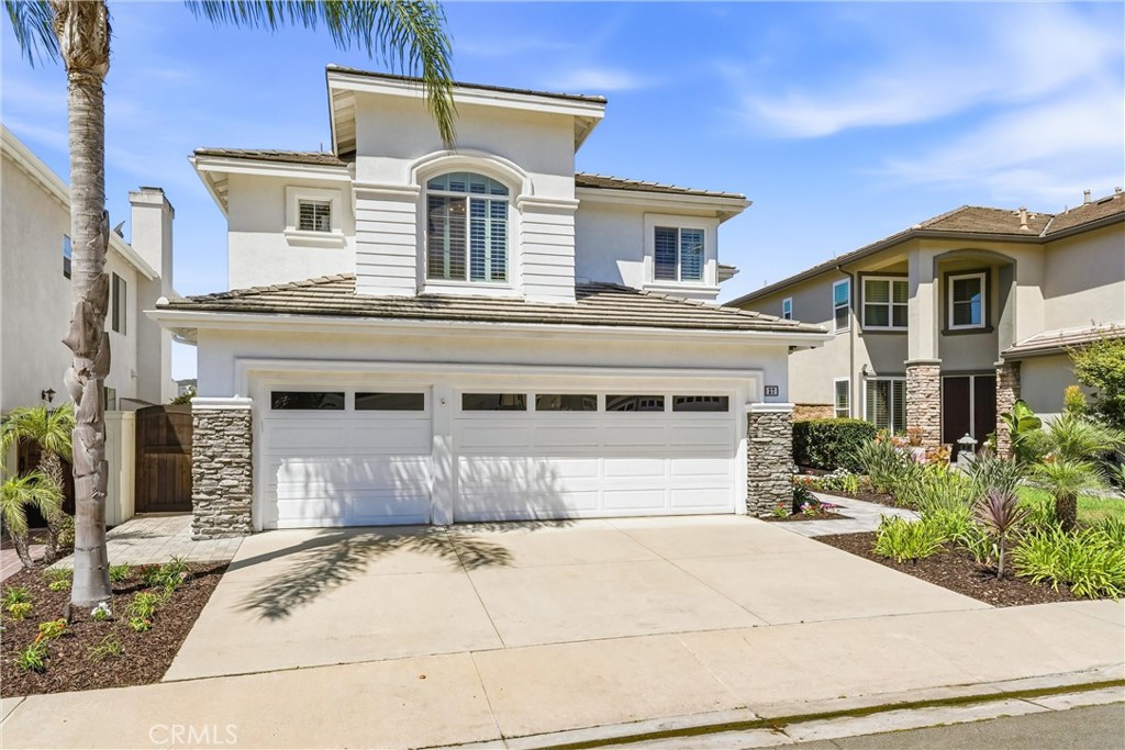 37 Rockrose