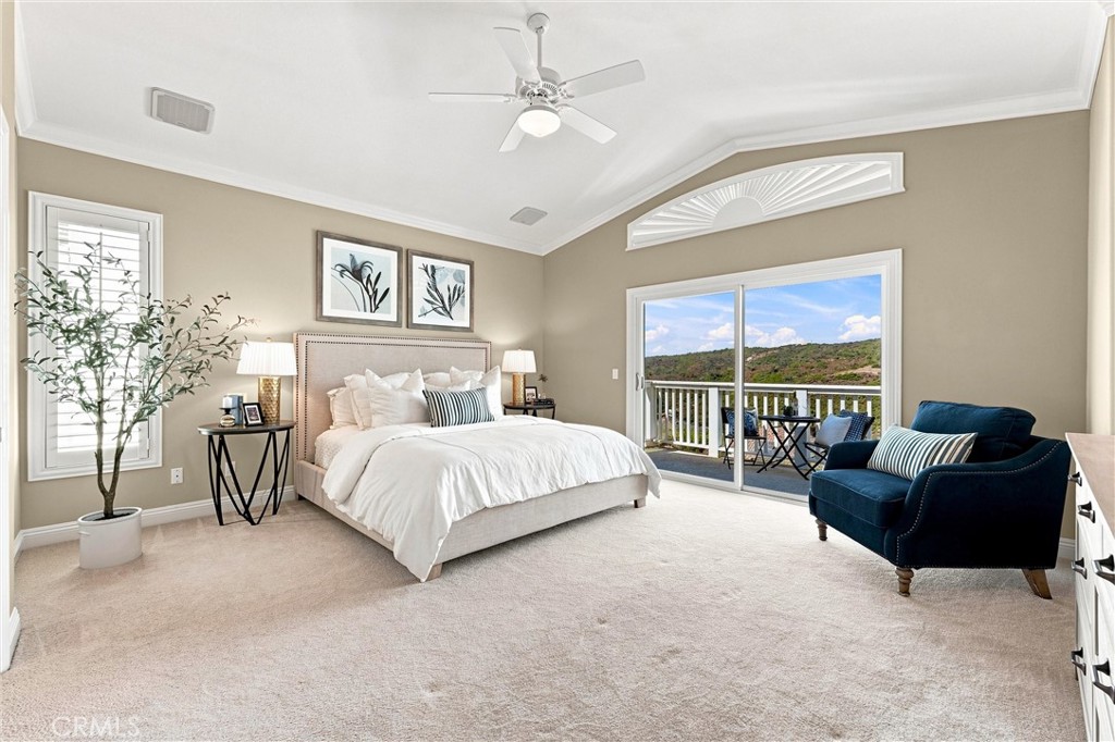 37 Rockrose