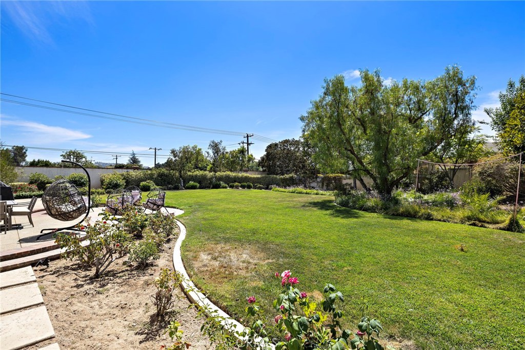 1582 White Alder