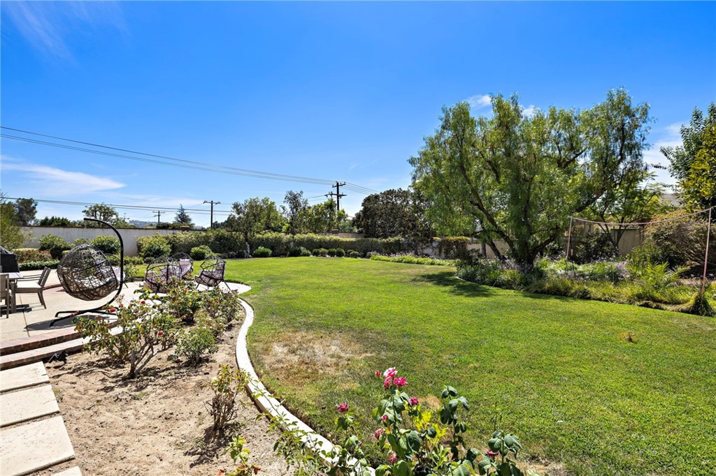 1582 White Alder