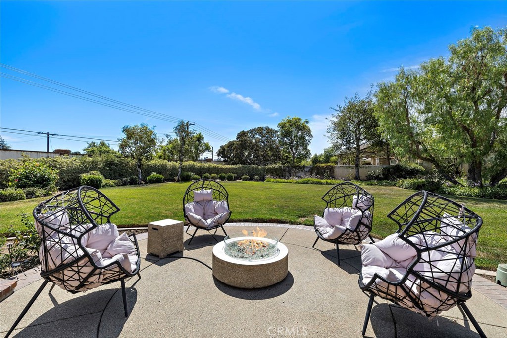 1582 White Alder