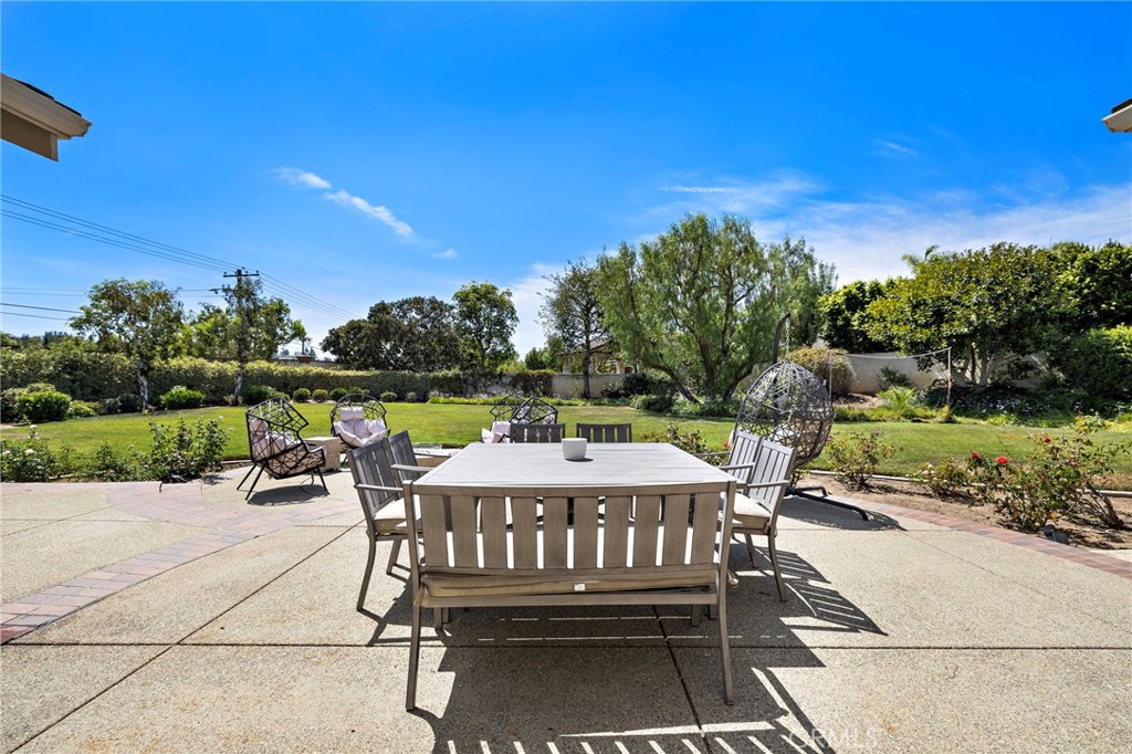 1582 White Alder