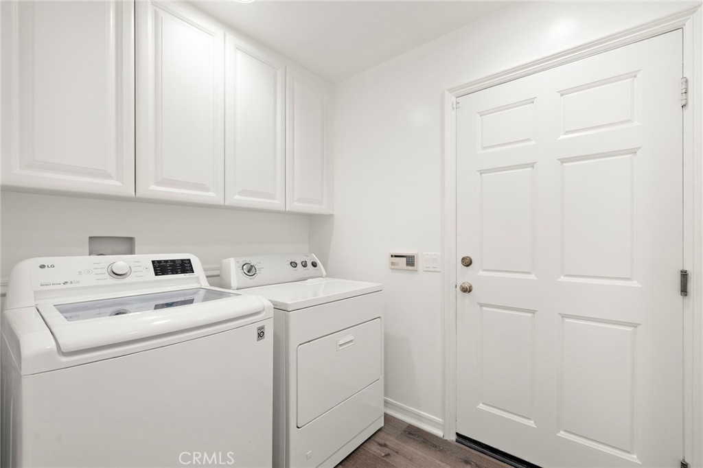 1582 White Alder