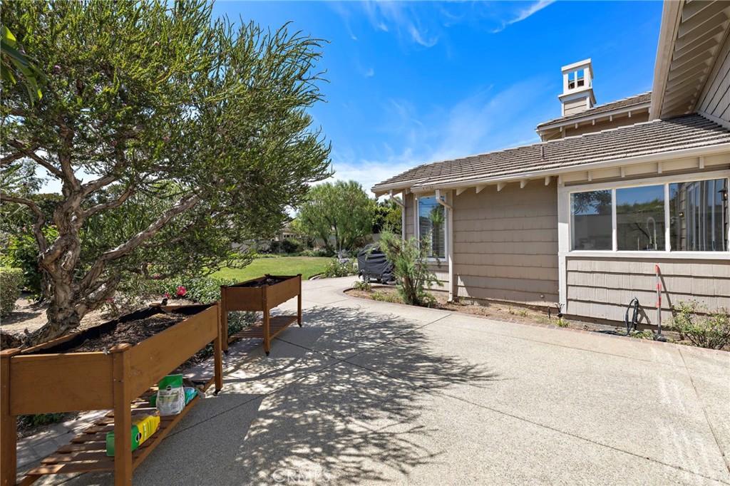 1582 White Alder
