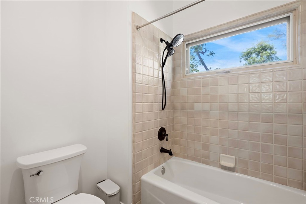 1582 White Alder