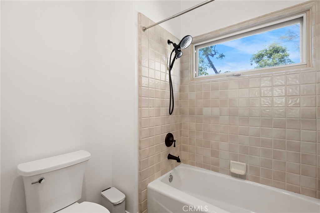 1582 White Alder