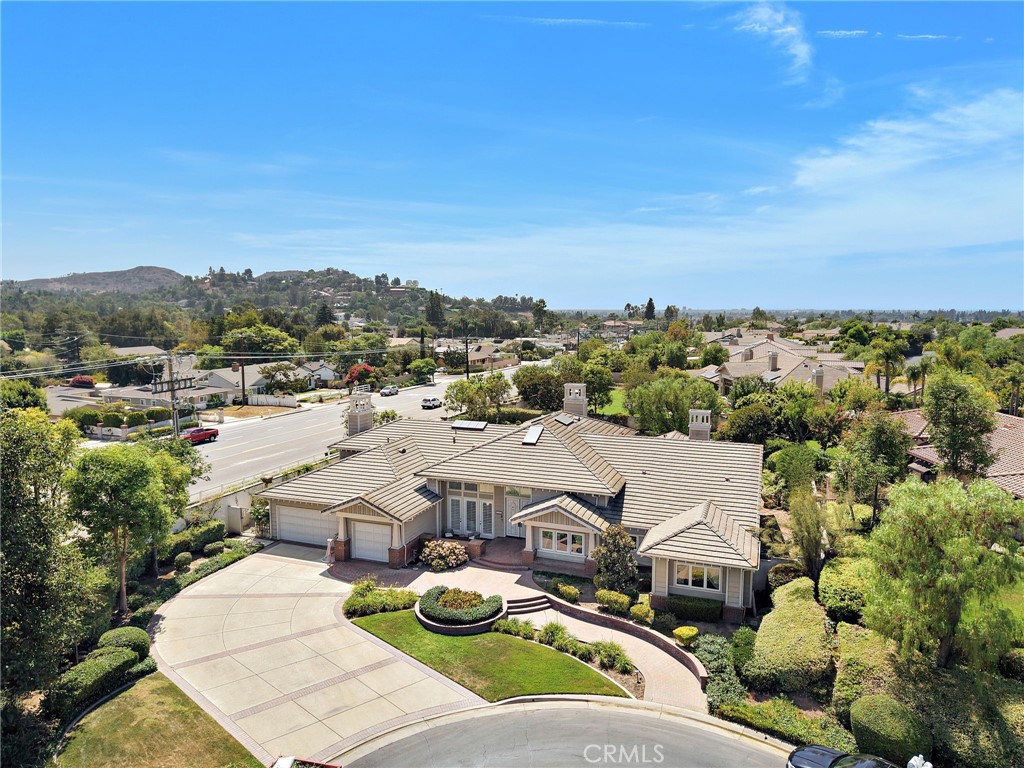 1582 White Alder