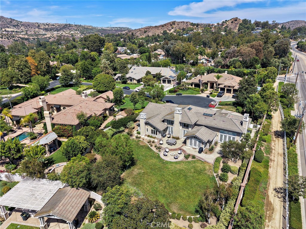 1582 White Alder