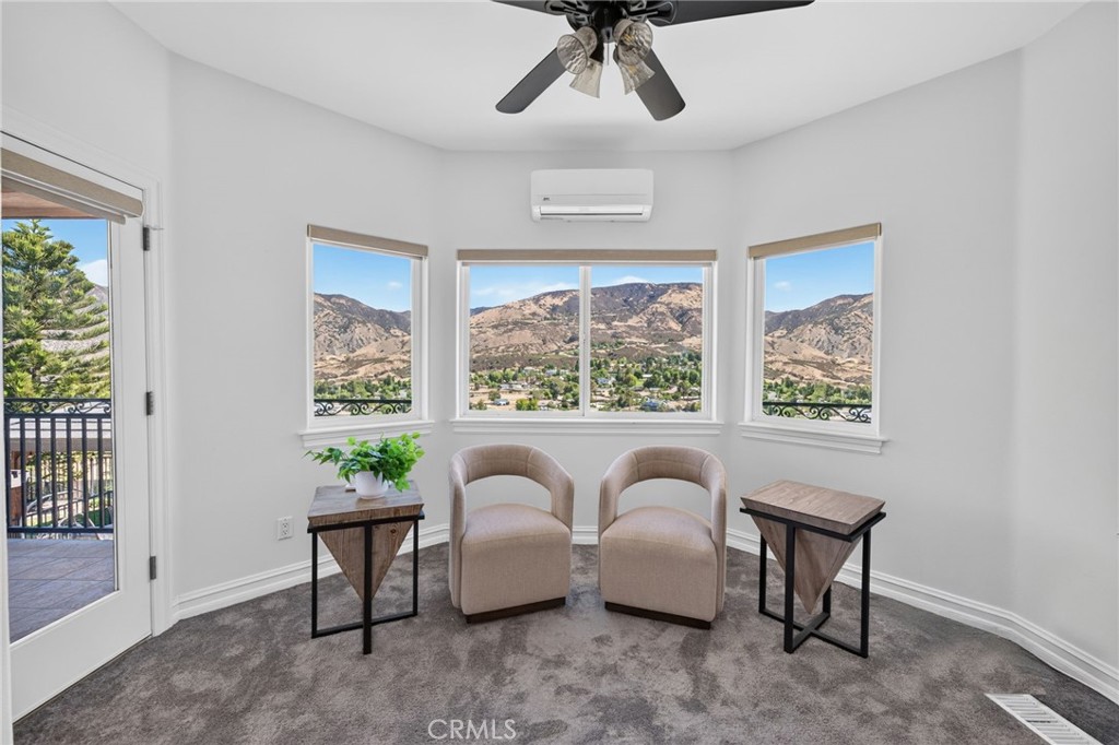 34830 Olive Tree