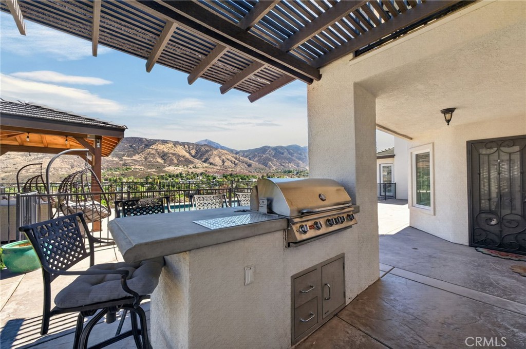 34830 Olive Tree