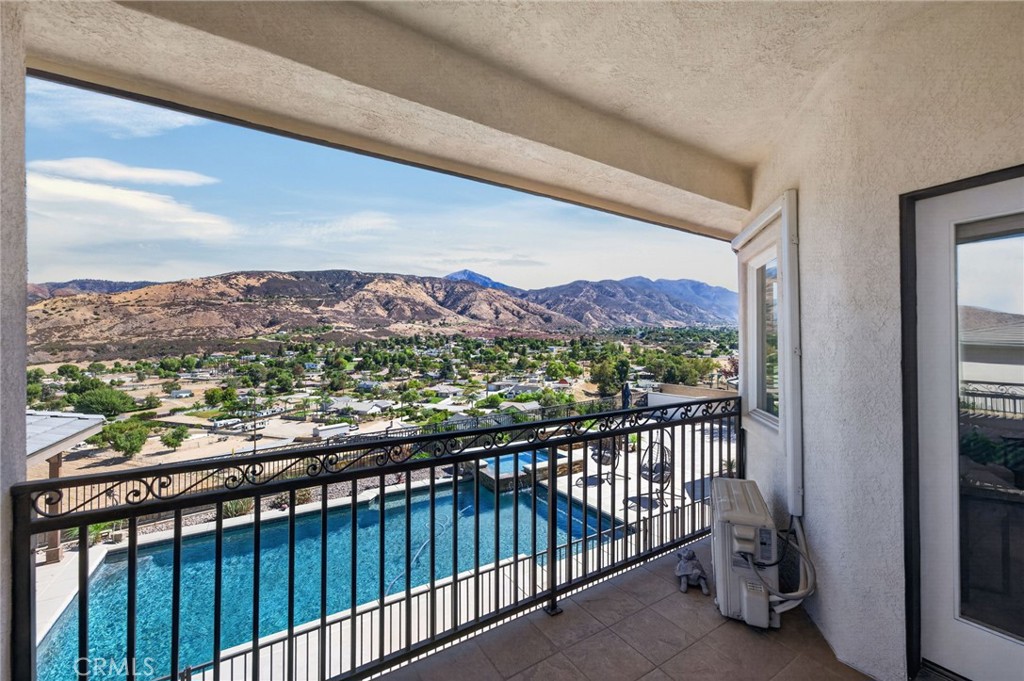 34830 Olive Tree