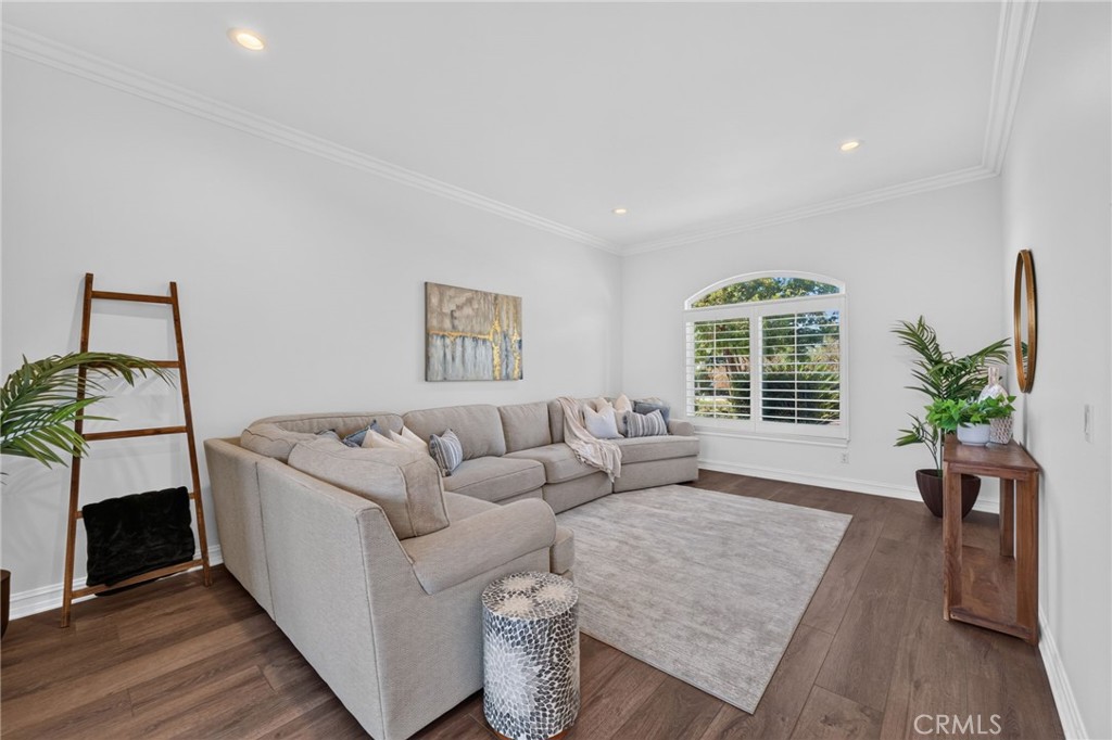 34830 Olive Tree
