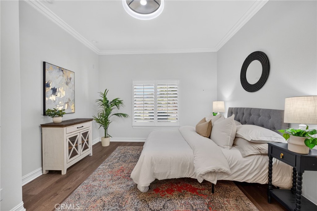 34830 Olive Tree