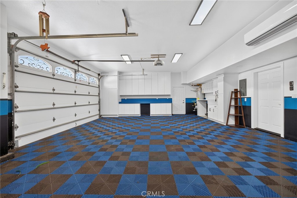 34830 Olive Tree