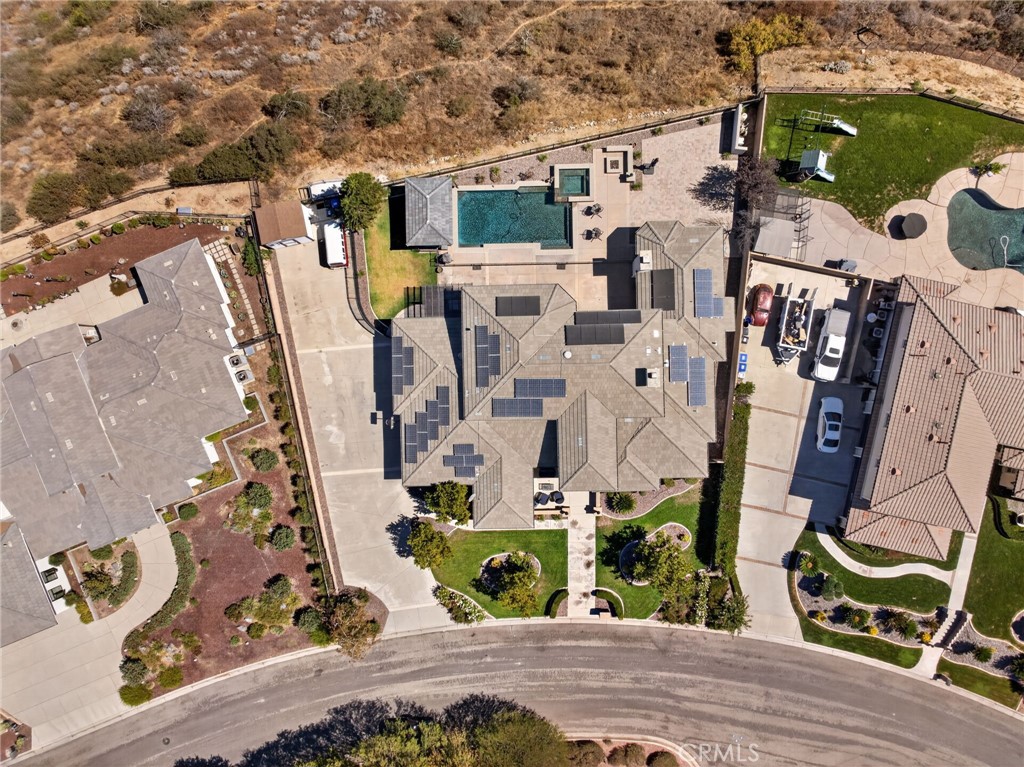 34830 Olive Tree