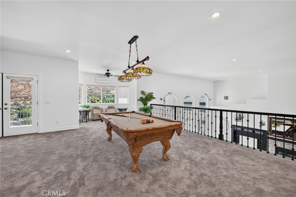 34830 Olive Tree