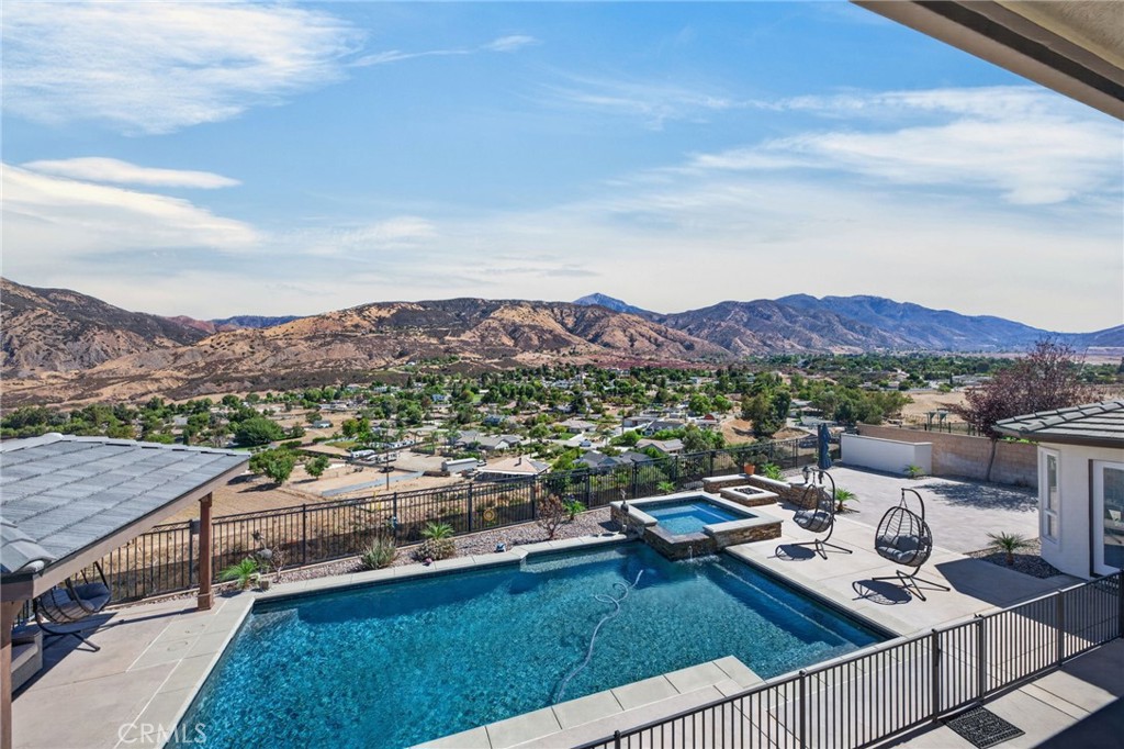 34830 Olive Tree