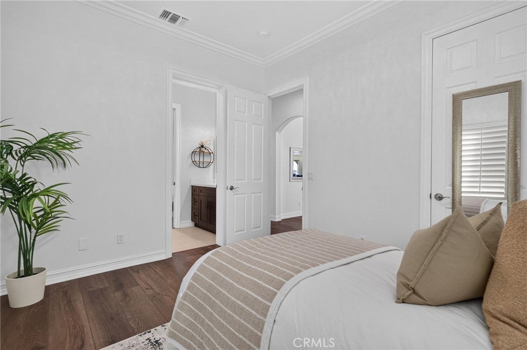 34830 Olive Tree