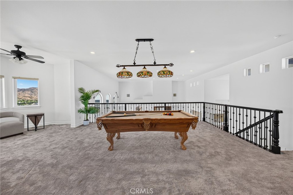 34830 Olive Tree