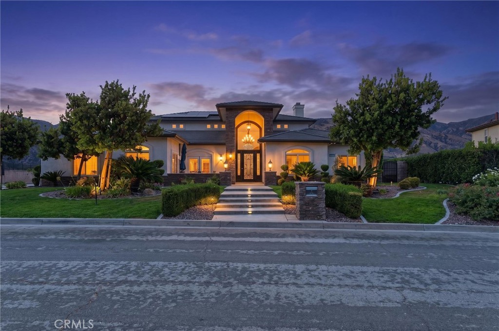 34830 Olive Tree