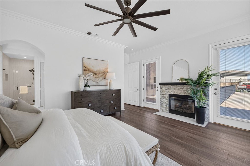 34830 Olive Tree
