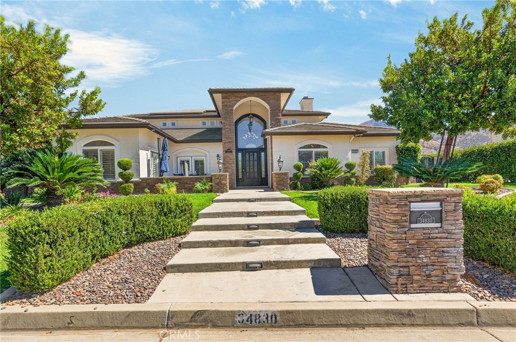 34830 Olive Tree