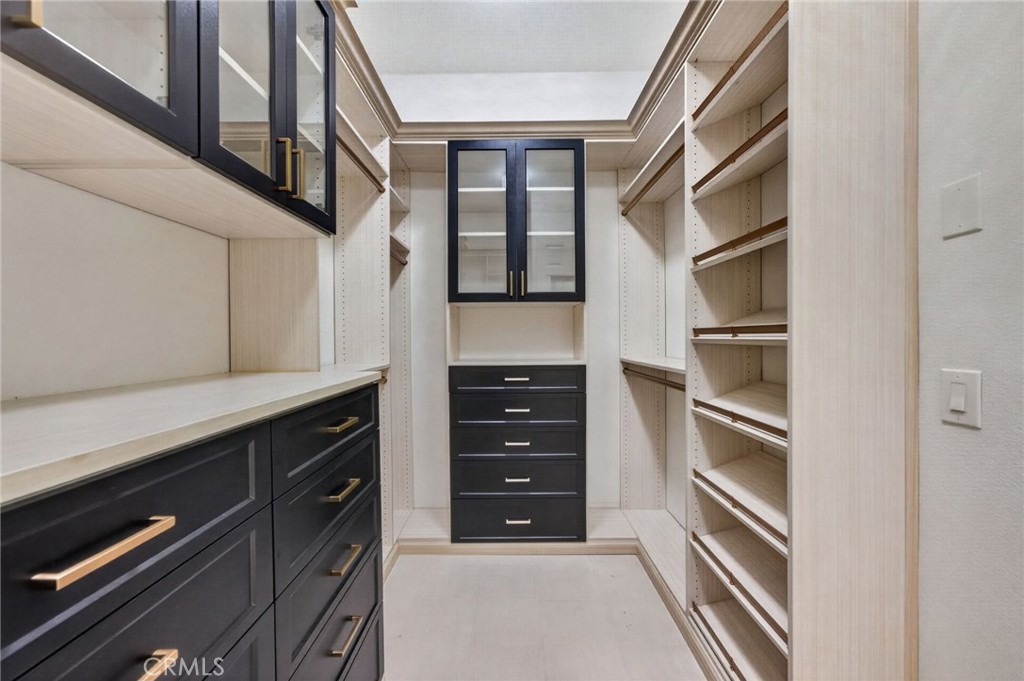 34830 Olive Tree