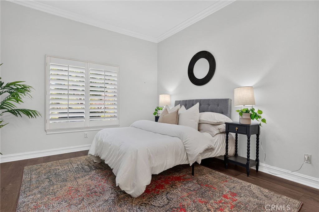 34830 Olive Tree