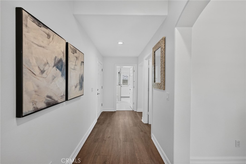 34830 Olive Tree