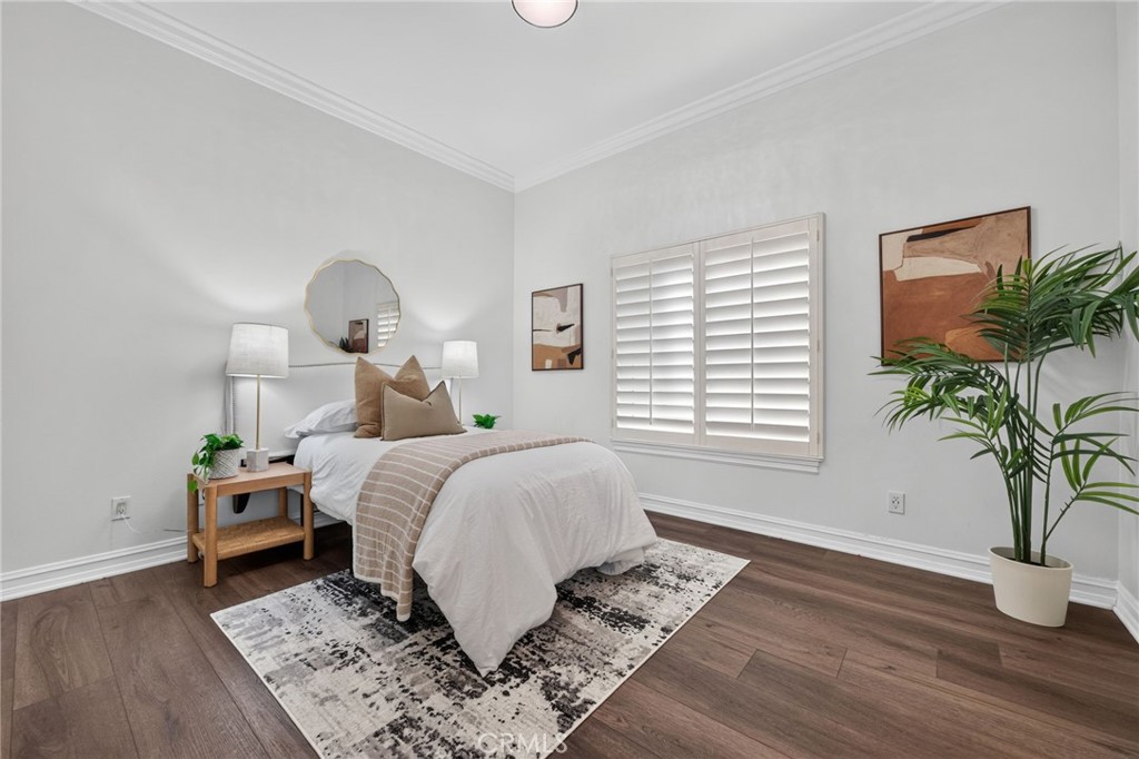 34830 Olive Tree