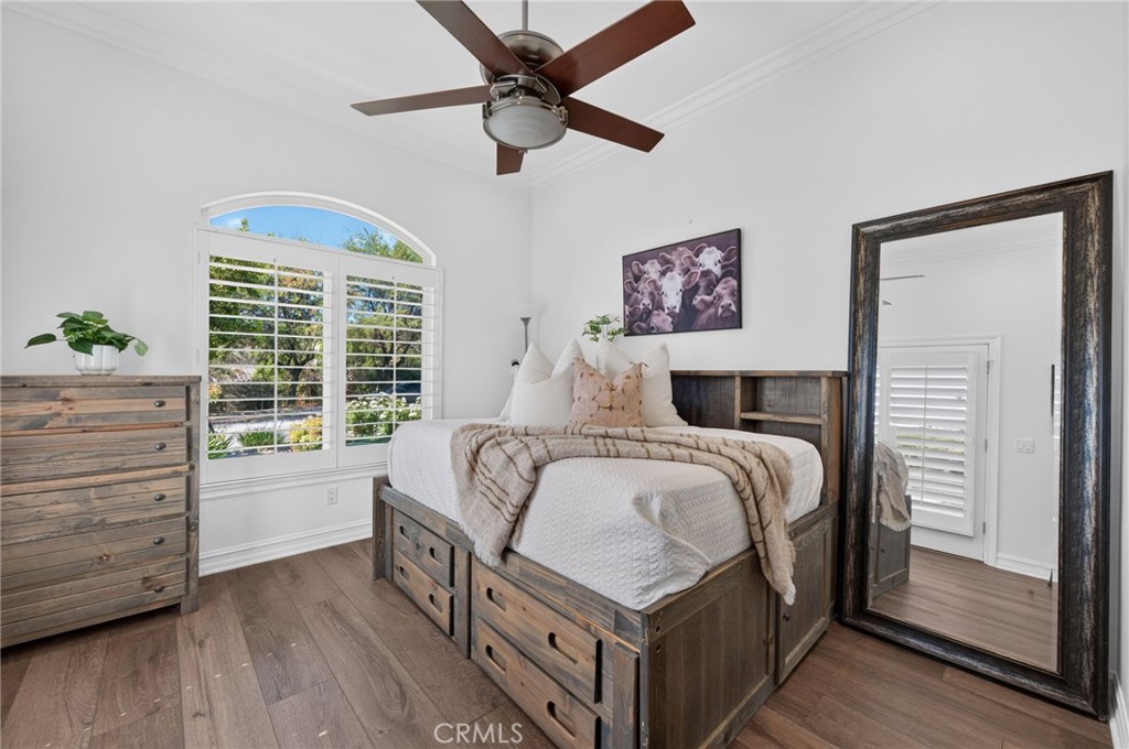 34830 Olive Tree