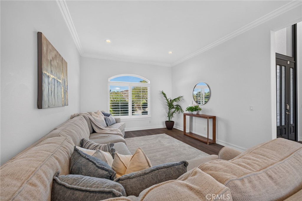 34830 Olive Tree