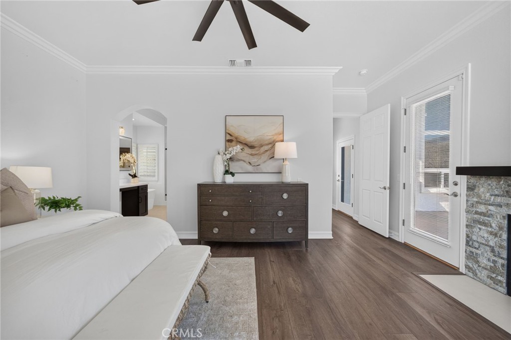 34830 Olive Tree